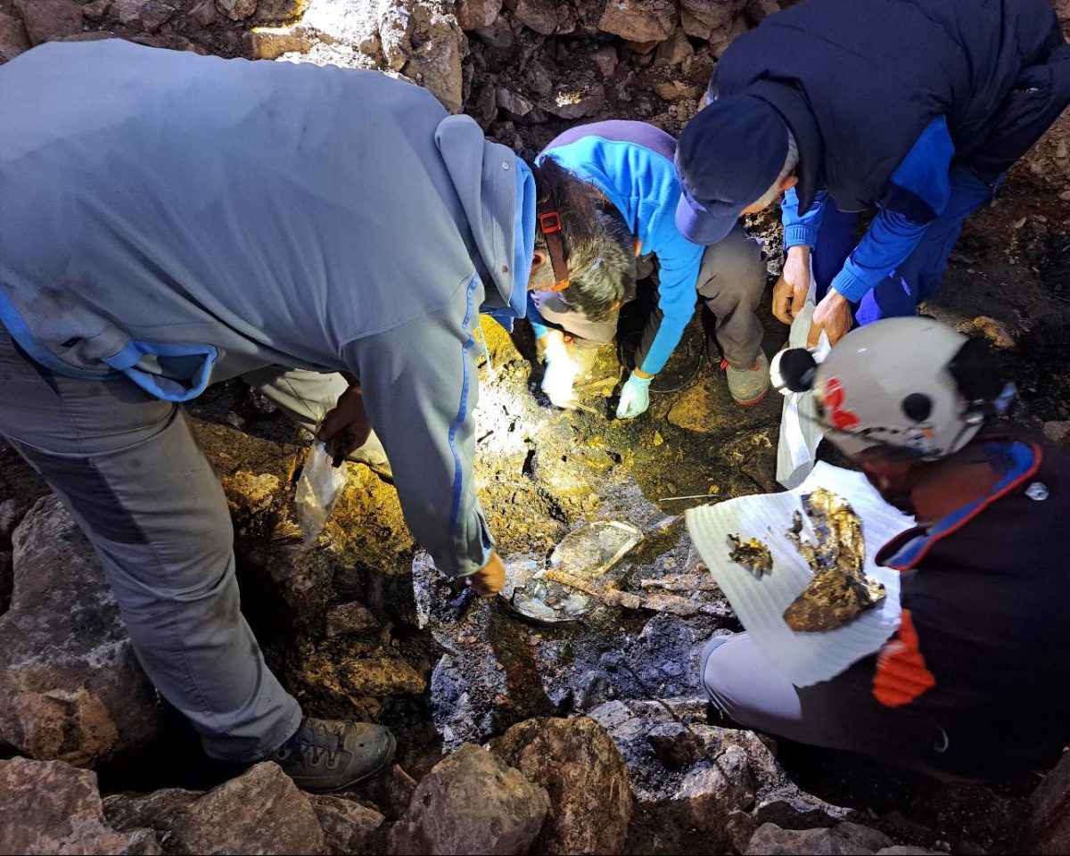 Вредни наоди откриени на локалитетот „Расница“ – Корошишта