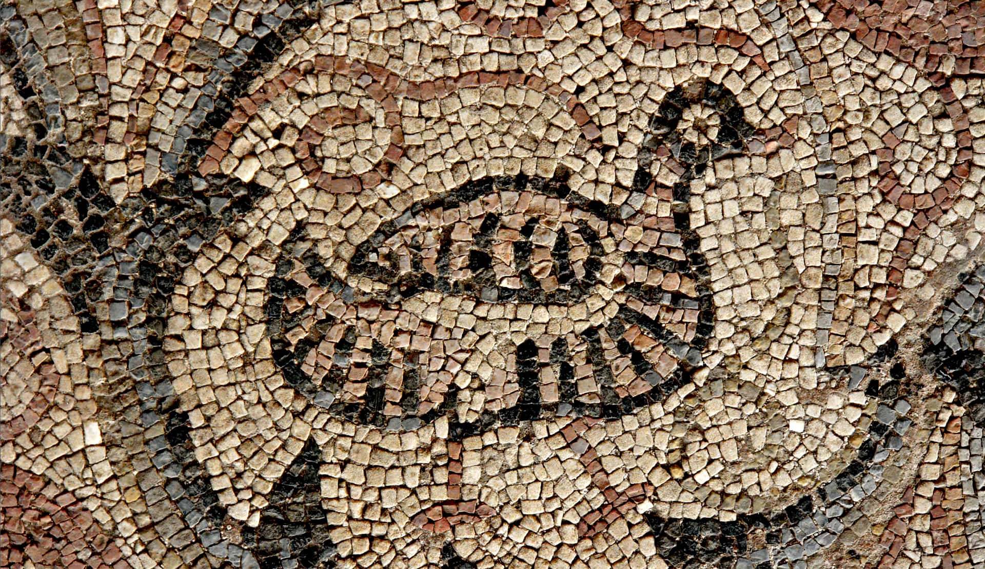 МОЗАИК ОД ПОЛИКОНХАЛНА БАЗИЛИКА НА ПЛАОШНИК - V-VI ВЕК